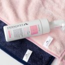 산책하는 강아지 이미지