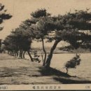 수원-1799 이미지