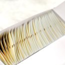 주식회사 비티 이미지