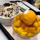 코명동지점 | 명동역 빙수 설빙 명동2호점 초코 바닐라 구슬, 자망코 솔직 후기
