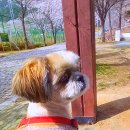 (주)겸사겸사 네이버블로그