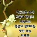 살다보면 조금은 부족하고 우둔해도 괜찮다 이미지