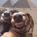 아우라짐 이미지