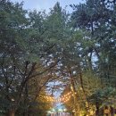 지에스(GS)금곡역주유소 이미지