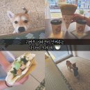 GS25 용산평화점 | 귀여운 시바견과 함께한 다다미크레페 말차바나나+말차스페셜 후기! 진짜 일본인 사장님이 만드는 크레페!