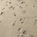 코끼리칼국수 이미지