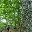 내곡동303 이미지