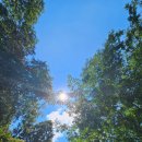 푸르름 | 여름 장태산 방문 후기 ㅡ 푸르름 + 한적한 여름휴가지 추천