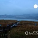달빛마을 영농조합법인 티스토리