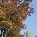 신시로16길1-23 이미지