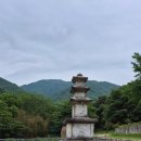 (유)남원교통 | 연곡사 참배