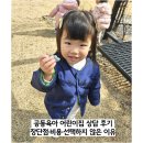 연어린이집 | 공동육아 어린이집 상담 후기｜장단점·비용·선택하지 않은 이유 (vs 일반어린이집과 비교)