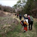 대변항3 이미지