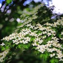 바람고갯길 이미지