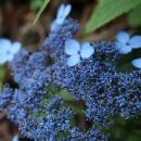 수망리청년회 이미지