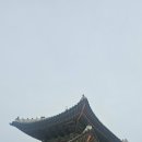 창경궁 홍화문 옆 이미지