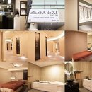 스파드자이 Daum카페