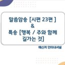 분당다함교회 이미지