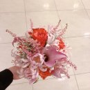 엠브이피짐(MVP GYM) 이미지