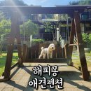 해피몽 | 강릉애견동반펜션 가성비 강아지펜션 해피몽 애견펜션 후기