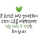 미도식육점