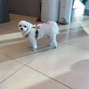 길순닭발 이미지