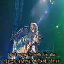 길동무님신청곡) It's my life - Bon Jovi 이미지