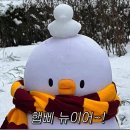 네이처스앤유