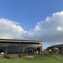 댕그라운드 이미지