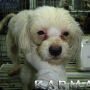 은평-037 이미지