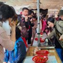 상춘농장 이미지