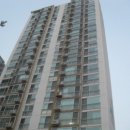 탄벌동-19 이미지