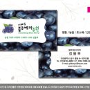 비마기획 이미지