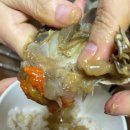 장안동 간장게장_한춘상 일미간장게장 포장 후기:)