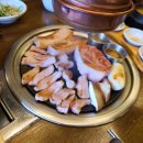 서해쭈꾸미 이미지