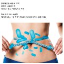 쉽사리 빠지지 않는 살… 혹시 배 속에 '뚱보균'이? 이미지