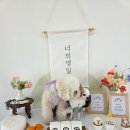 사랑으로유치원 이미지