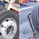 공룡발통 이미지