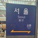 포켓몬스터 스칼렛·바이올렛 오케스트라 후기