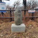 제 712차 태백 백두대간 매봉산(1303m) 바람의 언덕, 고냉지 배추밭, 해바라기 축제장('24.7.27) 이미지