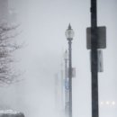 (주)화이트아웃 이미지