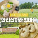 고창향토영농조합법인 | 제주 냉면 맛집! 메밀음식 맛집 한라산아래첫마을 예약, 메뉴추천