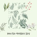 기초 보태니컬아트 기법 | 서울 보태니컬 색연필화, 중구 화실 아트르네에서 배우세요.