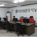 신성국제여행사 이미지
