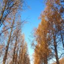 황금공원화장실 이미지