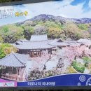 청앤미
