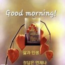 사월초등학교 이미지