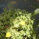 두꺼비농장 이미지