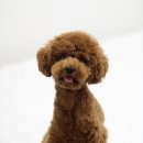 세븐네이쳐 이미지