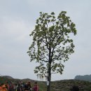 팔각정 입구 이미지